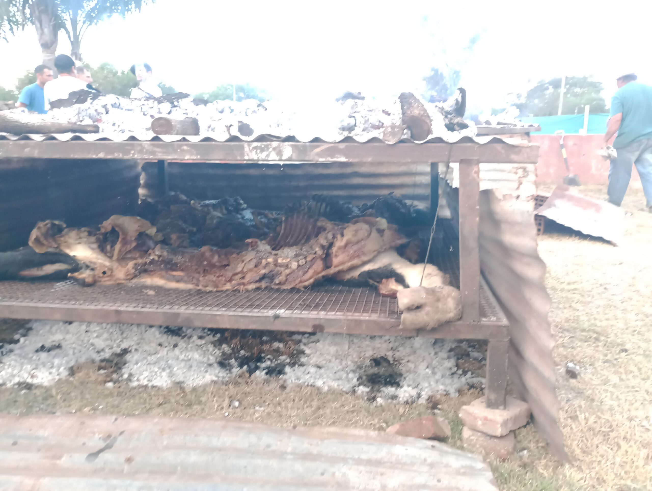 IMG_20260411_183007656_MFNR