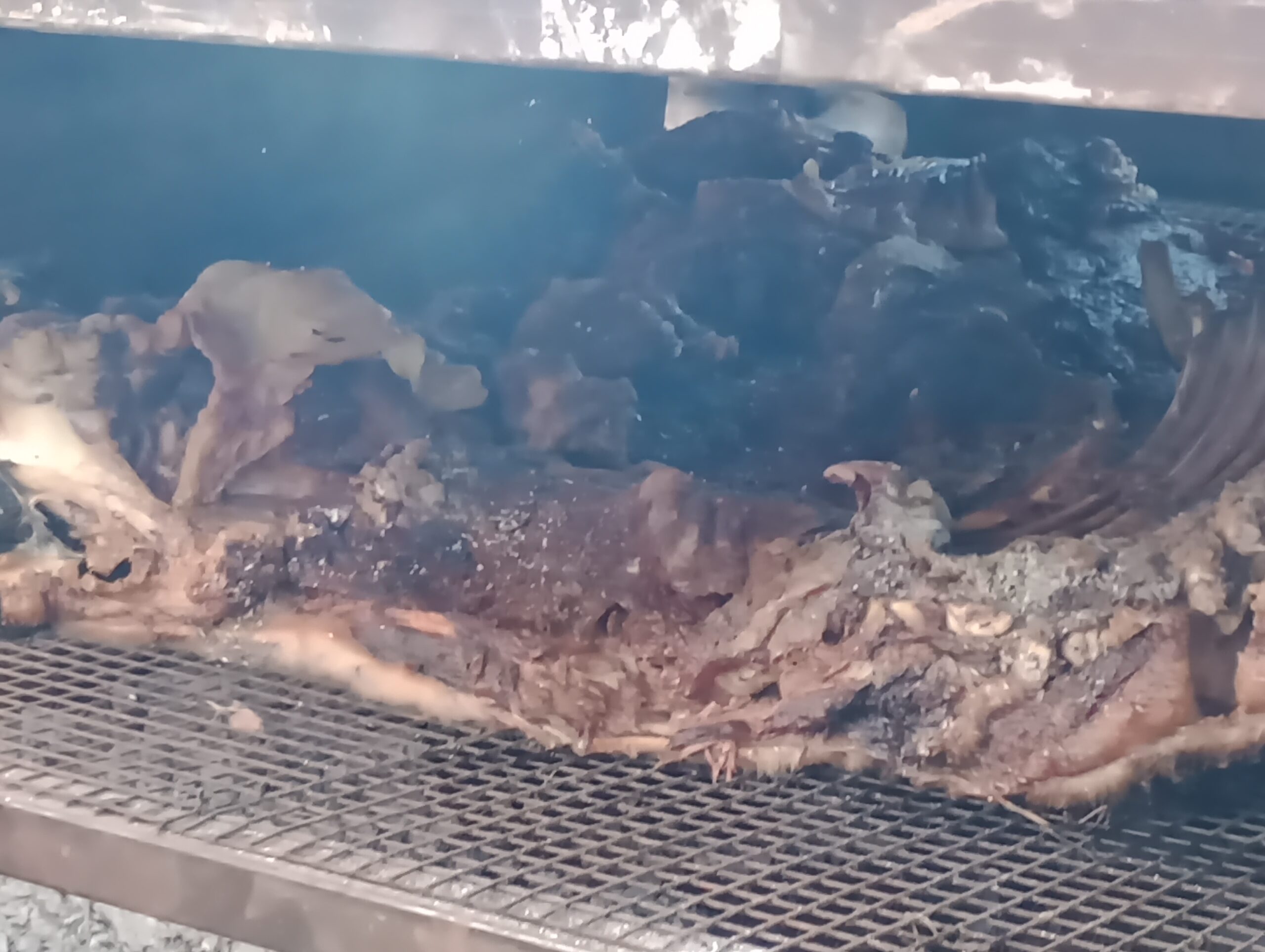 IMG_20260411_183023440_MFNR