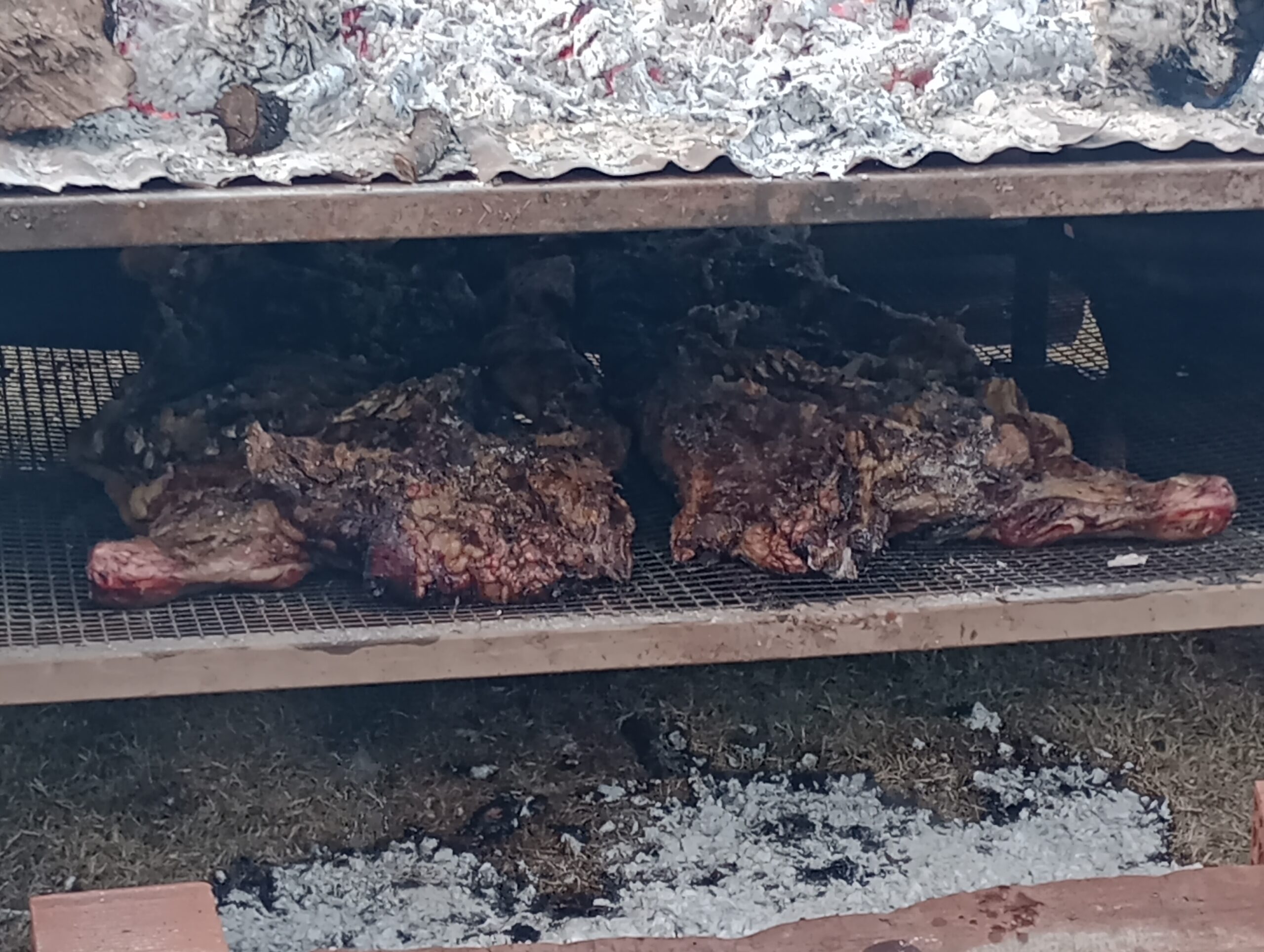 IMG_20260411_183038129_MFNR