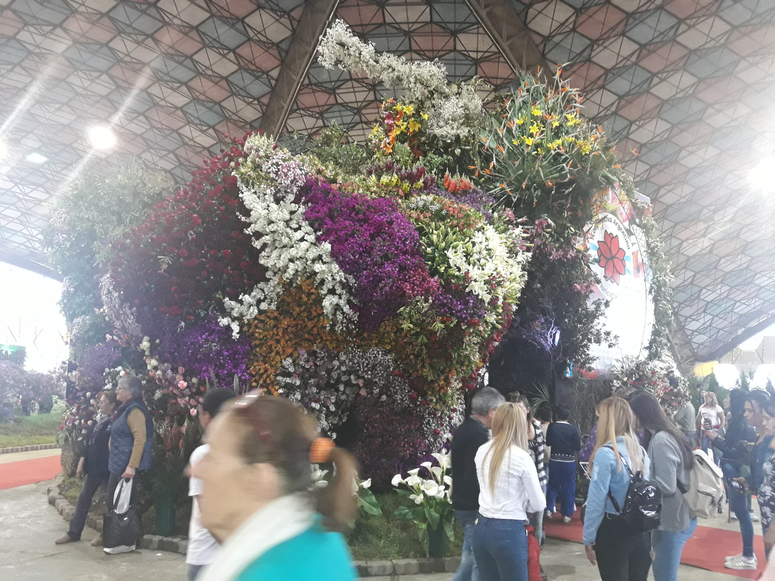 Fiesta Nacional de la Flor 2025: Escobar florece en primavera