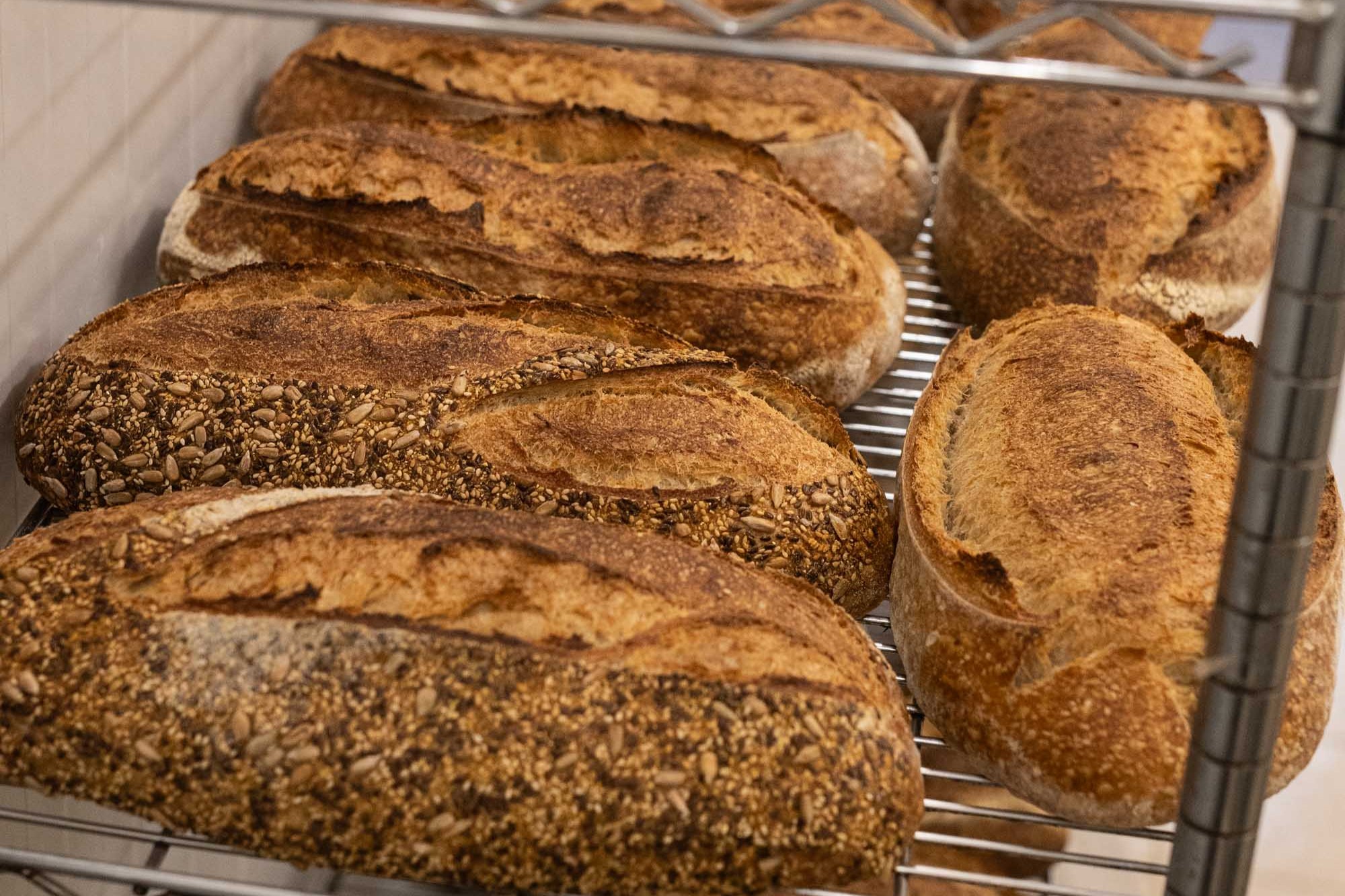 CINCO TIPS DE GABRIEL KOGAN PARA TRABAJAR CON HARINAS ORGÁNICAS Y MASA MADRE EN EL DÍA MUNDIAL DEL PAN